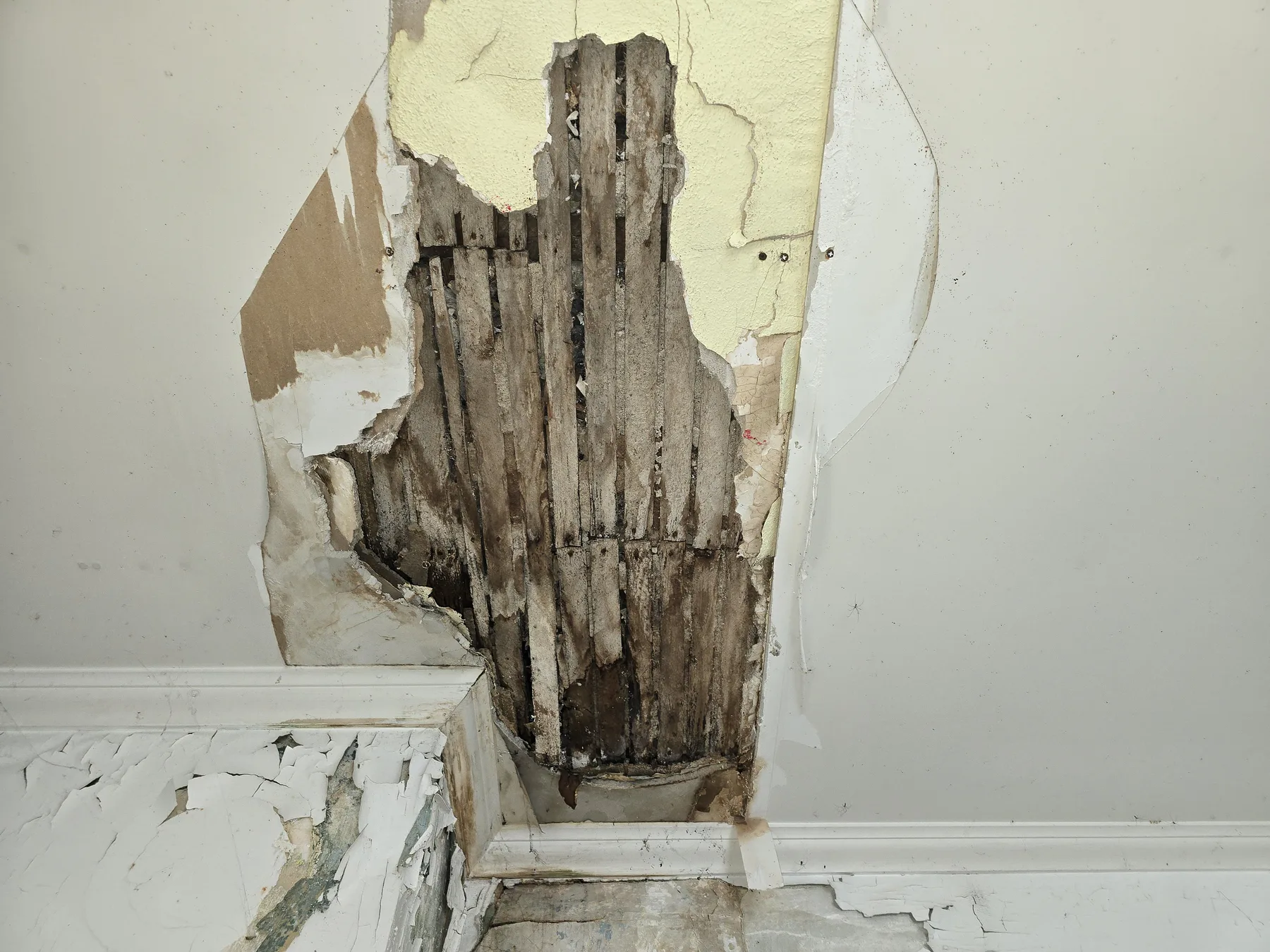 Concealed moisture damage exposed behind an interior wall finish